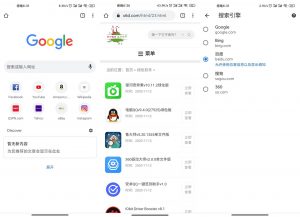 安卓Google Chrome v91.0-幻城云笔记