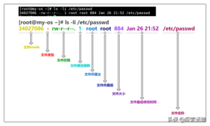 linux文件有那些属性？linux文件属性详解插图1