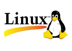 第六课Linux核心文件操作四讲：新建、查看、移动与删除视频课程及其教案-幻城云笔记