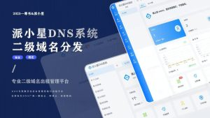 2025派小星DNS二级域名分发公测免费版源码-幻城云笔记
